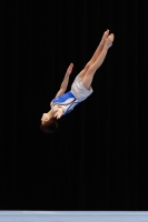 Thumbnail - Thomas Tittley - Artistic Gymnastics - 2019 - Austrian Future Cup - Participants - Canada 02036_16755.jpg