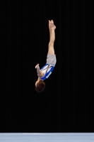 Thumbnail - Thomas Tittley - Artistic Gymnastics - 2019 - Austrian Future Cup - Participants - Canada 02036_16756.jpg