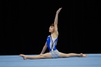 Thumbnail - Thomas Tittley - Artistic Gymnastics - 2019 - Austrian Future Cup - Participants - Canada 02036_16757.jpg