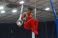 Thumbnail - South - Issa Kalfon - Спортивная гимнастика - 2019 - Austrian Future Cup - Participants - Great Britain 02036_16970.jpg