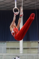 Thumbnail - South - Connor Sullivan - Gymnastique Artistique - 2019 - Austrian Future Cup - Participants - Great Britain 02036_17056.jpg