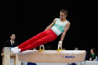 Thumbnail - Daniel Trifonov - Спортивная гимнастика - 2019 - Austrian Future Cup - Participants - Bulgaria 02036_17113.jpg