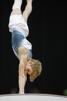 Thumbnail - Ilia Zotov - Gymnastique Artistique - 2019 - Austrian Future Cup - Participants - Russia 02036_17624.jpg
