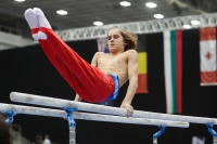 Thumbnail - Alvaro Giraldez - Спортивная гимнастика - 2019 - Austrian Future Cup - Participants - Spain 02036_17768.jpg