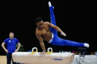 Thumbnail - Newport - Raekwon Baptiste - Gymnastique Artistique - 2019 - Austrian Future Cup - Participants - Great Britain 02036_17796.jpg