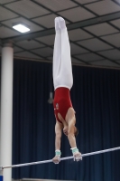 Thumbnail - Balasz Juhasz - Gymnastique Artistique - 2019 - Austrian Future Cup - Participants - Hungary 02036_18469.jpg