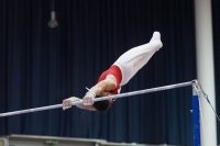 Thumbnail - Balasz Juhasz - Artistic Gymnastics - 2019 - Austrian Future Cup - Participants - Hungary 02036_18473.jpg