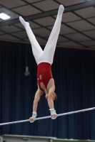 Thumbnail - Balasz Juhasz - Спортивная гимнастика - 2019 - Austrian Future Cup - Participants - Hungary 02036_18483.jpg