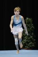 Thumbnail - Ilia Zotov - Gymnastique Artistique - 2019 - Austrian Future Cup - Participants - Russia 02036_18491.jpg