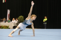 Thumbnail - Ilia Zotov - Спортивная гимнастика - 2019 - Austrian Future Cup - Participants - Russia 02036_18510.jpg