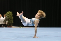 Thumbnail - Ilia Zotov - Ginnastica Artistica - 2019 - Austrian Future Cup - Participants - Russia 02036_18514.jpg