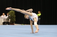 Thumbnail - Ilia Zotov - Gymnastique Artistique - 2019 - Austrian Future Cup - Participants - Russia 02036_18517.jpg
