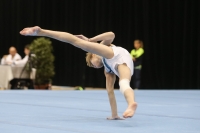 Thumbnail - Ilia Zotov - Ginnastica Artistica - 2019 - Austrian Future Cup - Participants - Russia 02036_18517.jpg