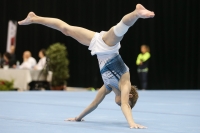 Thumbnail - Ilia Zotov - Ginnastica Artistica - 2019 - Austrian Future Cup - Participants - Russia 02036_18540.jpg