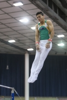 Thumbnail - Alan Osman - Gymnastique Artistique - 2019 - Austrian Future Cup - Participants - Australia 02036_18878.jpg