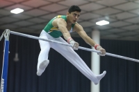 Thumbnail - Alan Osman - Gymnastique Artistique - 2019 - Austrian Future Cup - Participants - Australia 02036_19039.jpg