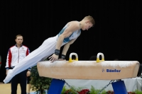 Thumbnail - Iurii Busse - Gymnastique Artistique - 2019 - Austrian Future Cup - Participants - Russia 02036_19416.jpg