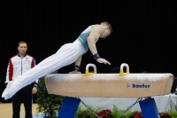 Thumbnail - Iurii Busse - Gymnastique Artistique - 2019 - Austrian Future Cup - Participants - Russia 02036_19417.jpg