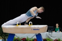 Thumbnail - Iurii Busse - Gymnastique Artistique - 2019 - Austrian Future Cup - Participants - Russia 02036_19420.jpg