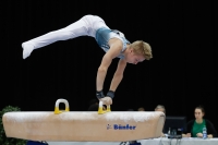 Thumbnail - Timofei Prostakov - Artistic Gymnastics - 2019 - Austrian Future Cup - Participants - Russia 02036_19428.jpg