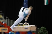 Thumbnail - Iurii Busse - Gymnastique Artistique - 2019 - Austrian Future Cup - Participants - Russia 02036_19613.jpg