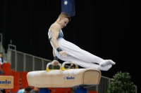 Thumbnail - Iurii Busse - Gymnastique Artistique - 2019 - Austrian Future Cup - Participants - Russia 02036_19618.jpg