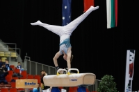 Thumbnail - Timofei Prostakov - Artistic Gymnastics - 2019 - Austrian Future Cup - Participants - Russia 02036_19752.jpg