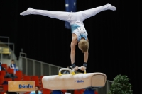 Thumbnail - Timofei Prostakov - Artistic Gymnastics - 2019 - Austrian Future Cup - Participants - Russia 02036_19766.jpg