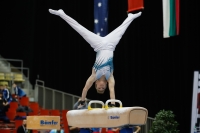 Thumbnail - Timofei Prostakov - Artistic Gymnastics - 2019 - Austrian Future Cup - Participants - Russia 02036_19808.jpg