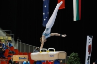 Thumbnail - Timofei Prostakov - Artistic Gymnastics - 2019 - Austrian Future Cup - Participants - Russia 02036_19811.jpg