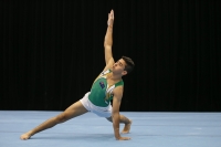 Thumbnail - Alan Osman - Artistic Gymnastics - 2019 - Austrian Future Cup - Participants - Australia 02036_19969.jpg