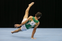 Thumbnail - Alan Osman - Спортивная гимнастика - 2019 - Austrian Future Cup - Participants - Australia 02036_19990.jpg