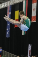 Thumbnail - Logan Owen - Gymnastique Artistique - 2019 - Austrian Future Cup - Participants - Australia 02036_20055.jpg