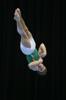 Thumbnail - Logan Owen - Gymnastique Artistique - 2019 - Austrian Future Cup - Participants - Australia 02036_20062.jpg