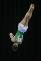 Thumbnail - Logan Owen - Gymnastique Artistique - 2019 - Austrian Future Cup - Participants - Australia 02036_20064.jpg