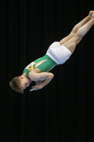 Thumbnail - Logan Owen - Gymnastique Artistique - 2019 - Austrian Future Cup - Participants - Australia 02036_20065.jpg
