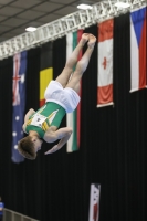 Thumbnail - Logan Owen - Gymnastique Artistique - 2019 - Austrian Future Cup - Participants - Australia 02036_20078.jpg