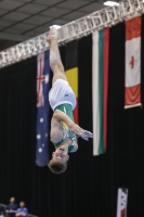 Thumbnail - Logan Owen - Gymnastique Artistique - 2019 - Austrian Future Cup - Participants - Australia 02036_20079.jpg