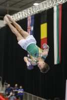 Thumbnail - Logan Owen - Gymnastique Artistique - 2019 - Austrian Future Cup - Participants - Australia 02036_20080.jpg
