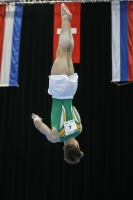 Thumbnail - Logan Owen - Gymnastique Artistique - 2019 - Austrian Future Cup - Participants - Australia 02036_20115.jpg