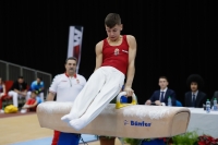 Thumbnail - Balasz Juhasz - Спортивная гимнастика - 2019 - Austrian Future Cup - Participants - Hungary 02036_20334.jpg