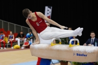 Thumbnail - Balasz Juhasz - Спортивная гимнастика - 2019 - Austrian Future Cup - Participants - Hungary 02036_20339.jpg