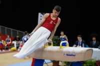 Thumbnail - Balasz Juhasz - Artistic Gymnastics - 2019 - Austrian Future Cup - Participants - Hungary 02036_20349.jpg