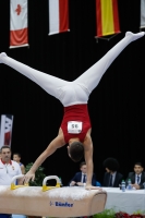 Thumbnail - Balasz Juhasz - Artistic Gymnastics - 2019 - Austrian Future Cup - Participants - Hungary 02036_20353.jpg