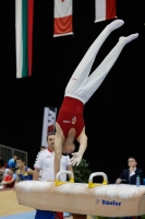 Thumbnail - Balasz Juhasz - Artistic Gymnastics - 2019 - Austrian Future Cup - Participants - Hungary 02036_20354.jpg