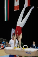 Thumbnail - Balasz Juhasz - Artistic Gymnastics - 2019 - Austrian Future Cup - Participants - Hungary 02036_20355.jpg