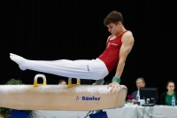 Thumbnail - Hungary - Artistic Gymnastics - 2019 - Austrian Future Cup - Participants 02036_20372.jpg