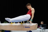 Thumbnail - Szilard Zavory - Gymnastique Artistique - 2019 - Austrian Future Cup - Participants - Hungary 02036_20381.jpg
