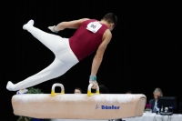 Thumbnail - Adam Attila Dobrowitz - Спортивная гимнастика - 2019 - Austrian Future Cup - Participants - Hungary 02036_20383.jpg