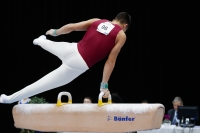 Thumbnail - Hungary - Artistic Gymnastics - 2019 - Austrian Future Cup - Participants 02036_20384.jpg
